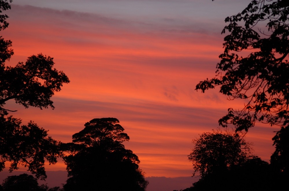 Photograph of This Colourful image was taken just ouside East Kirkby on the Road to Mareham-le-fen