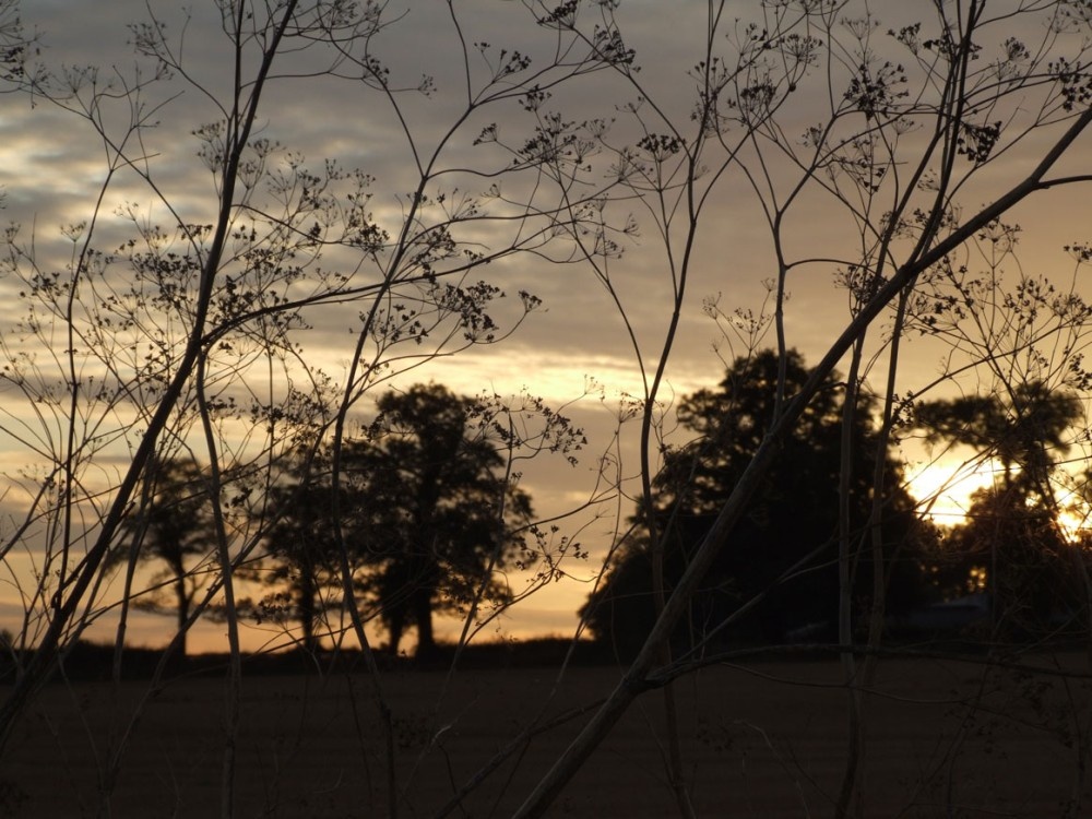 Photograph of Packhorse Lane, South Mimms - Sunset