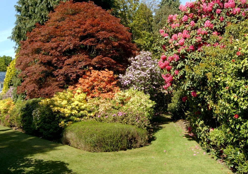 Photograph of Stody Gardens, Norfolk