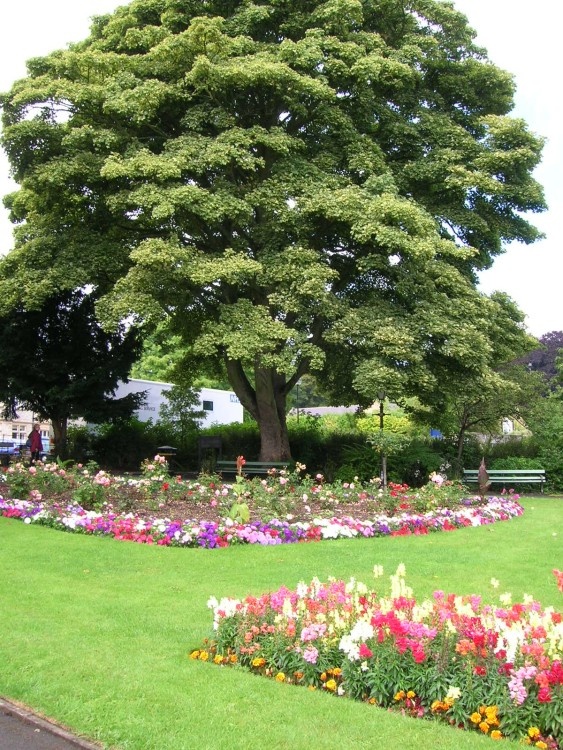 A picture of Richmond - North Yorkshire