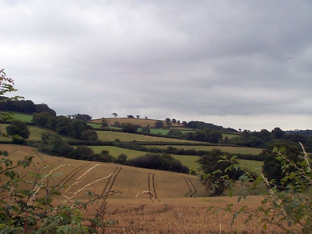 Rolling Hills around Butterleigh, Devon