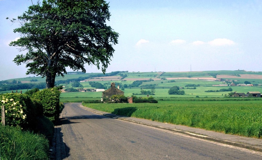 Photograph of Billinge Hill taken from Crank Hill. All posts removed