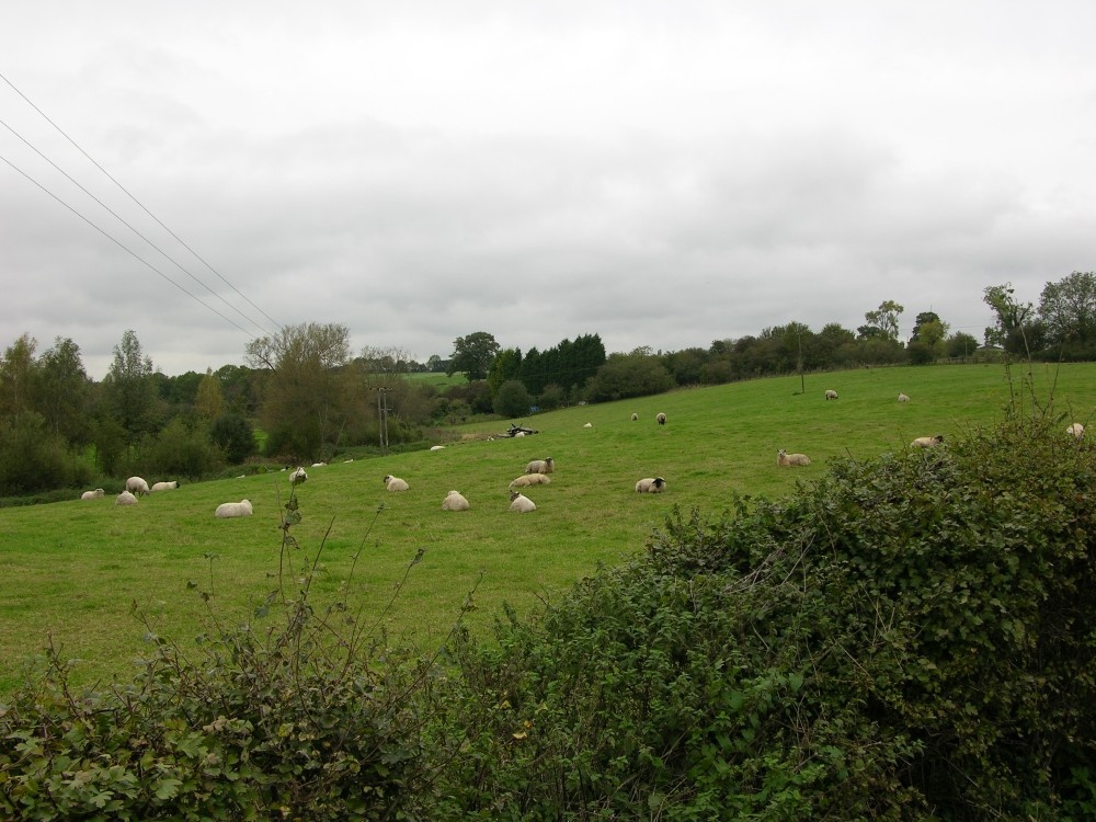 Photograph of Pasture land at Radclive, Bucks