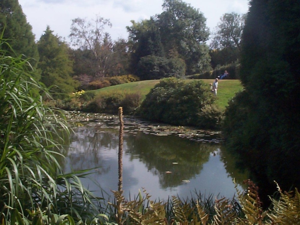The third lake in a group of three at the Royal residence at Sandringham in Norfolk.