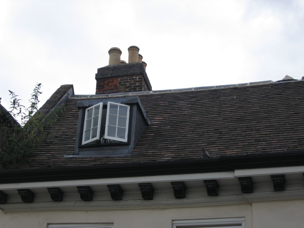 Pigeon and rooftop, Buckingham