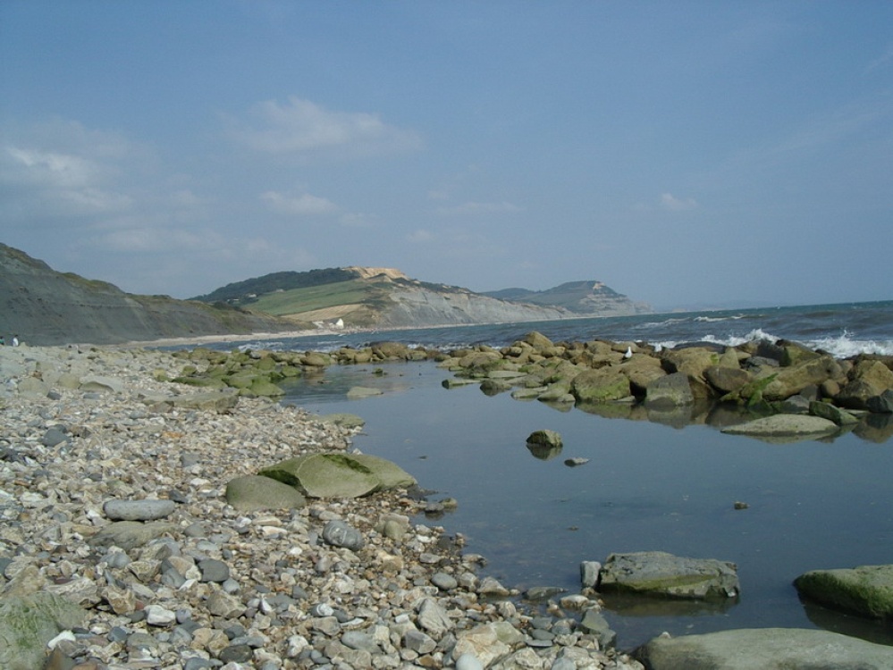 view from black ven, Charmouth
