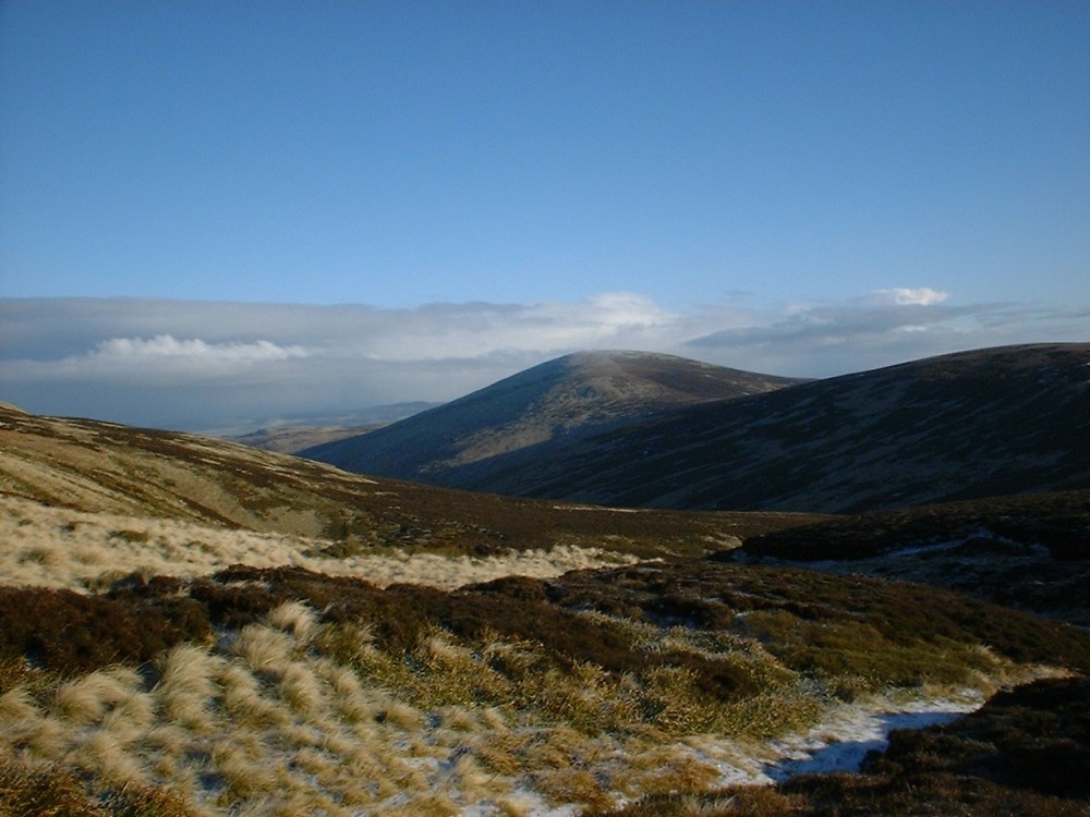 The Cheviot Hills - Hedgehope Hill