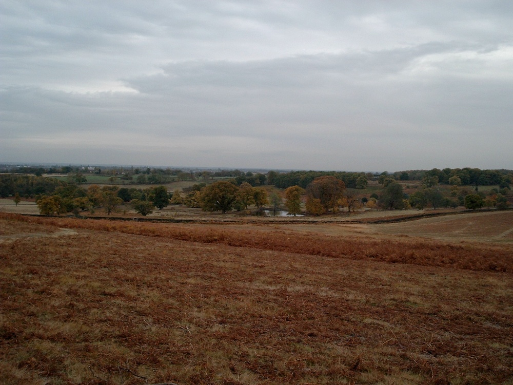 Looking down on Bradgate ruins lake