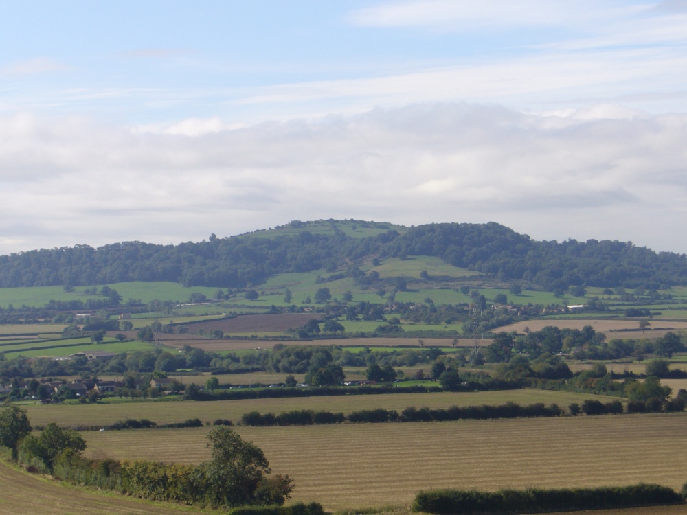 A picture of Alderton