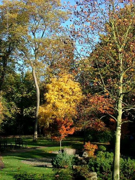 A picture of Holland Park