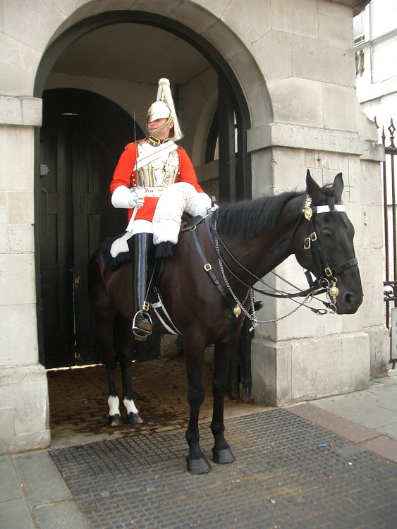 Horse Guard at Buckingham Palace.