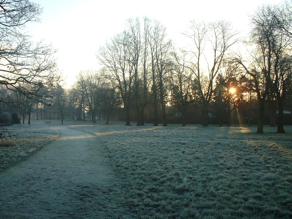 Cassiobury Park, Watford. The early morning sun peeps through the trees.