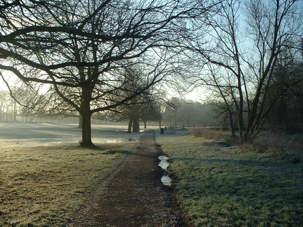 Cassiobury Park, Watford. A cold and frosty morning