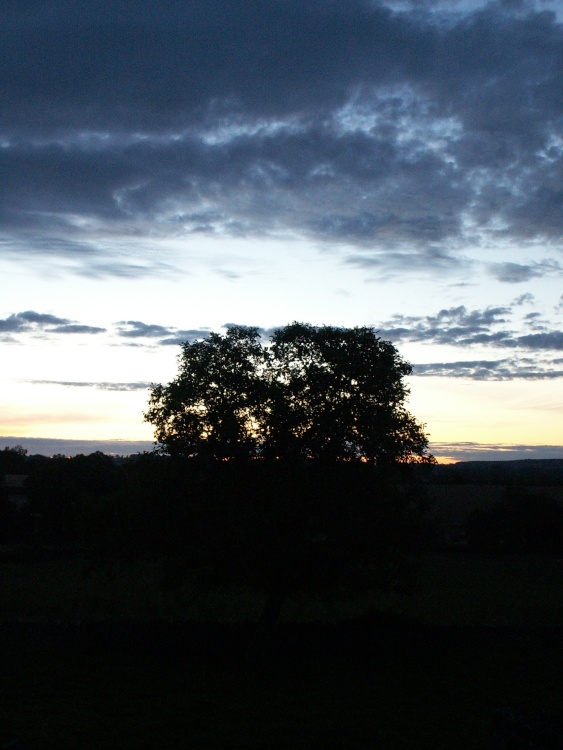 Dawn at Green End, Chadlington, Oxfordshire.