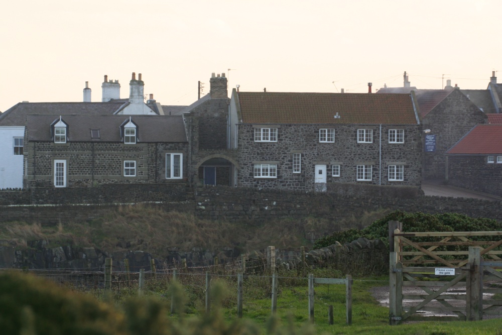 Houses overlooking Craster Harbour and Craster Village Northumberland.