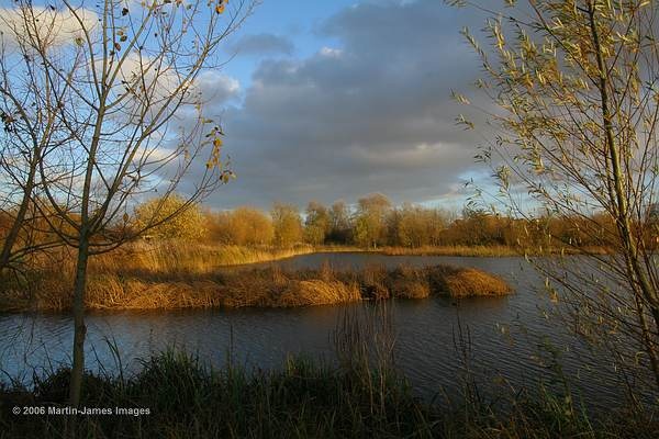 Photograph of A picture of London Wetland Centre
