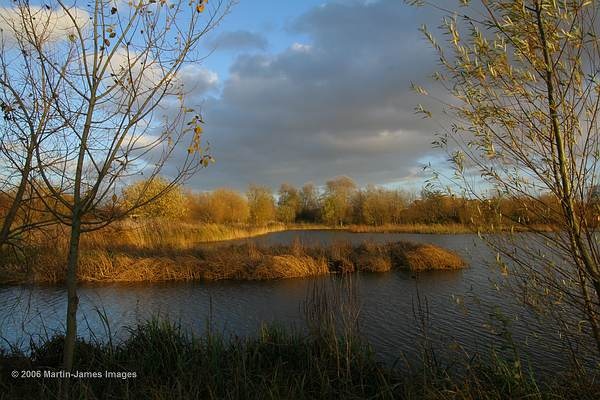 A picture of London Wetland Centre photo by Martin-James