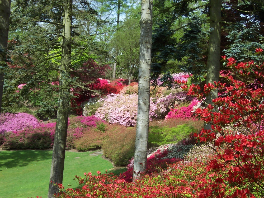Punch Bowl...in Valley Gardens, Surrey photo by Craig & Jane Friesema