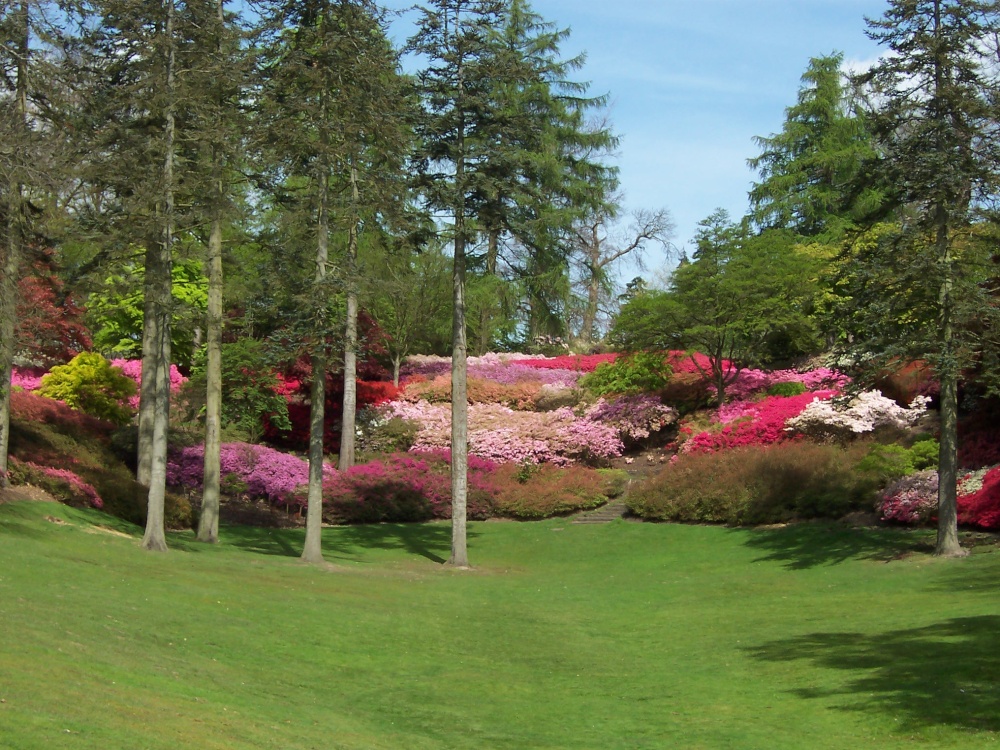 Punch Bowl...in Valley Gardens...walk around Virginia Water Lake photo by Craig & Jane Friesema