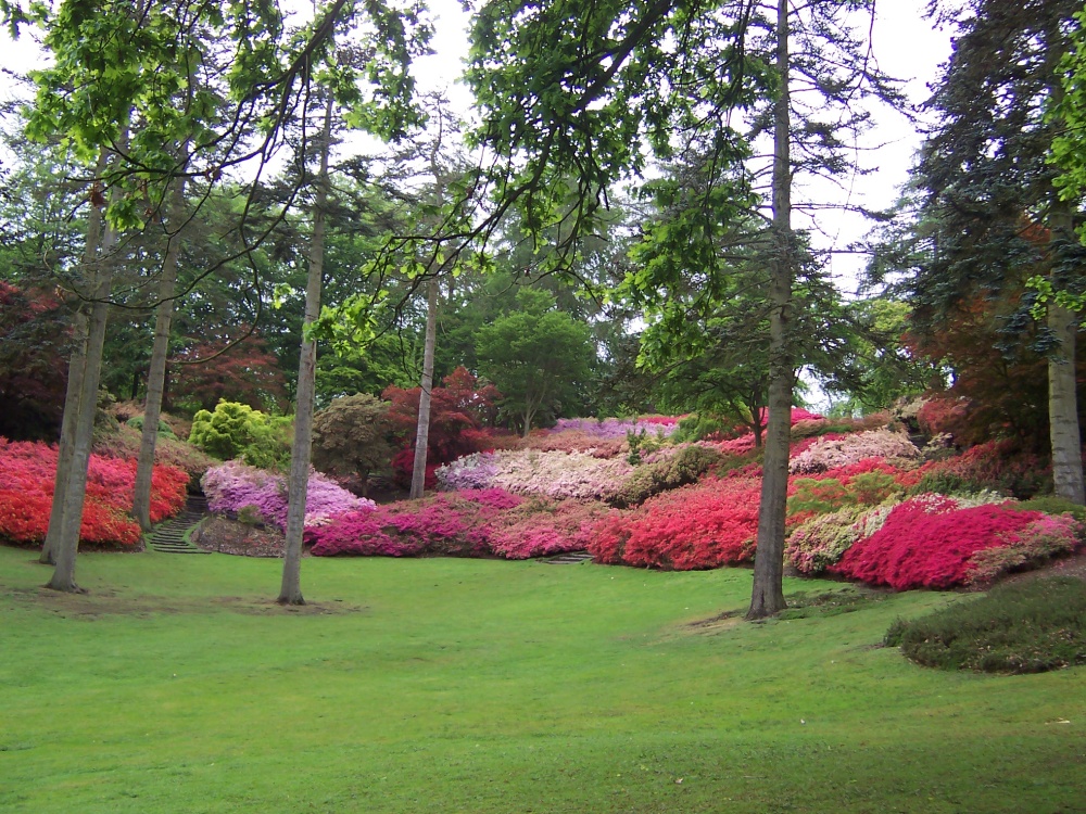 Punch Bowl, Valley Gardens...Great Windsor Park photo by Craig & Jane Friesema