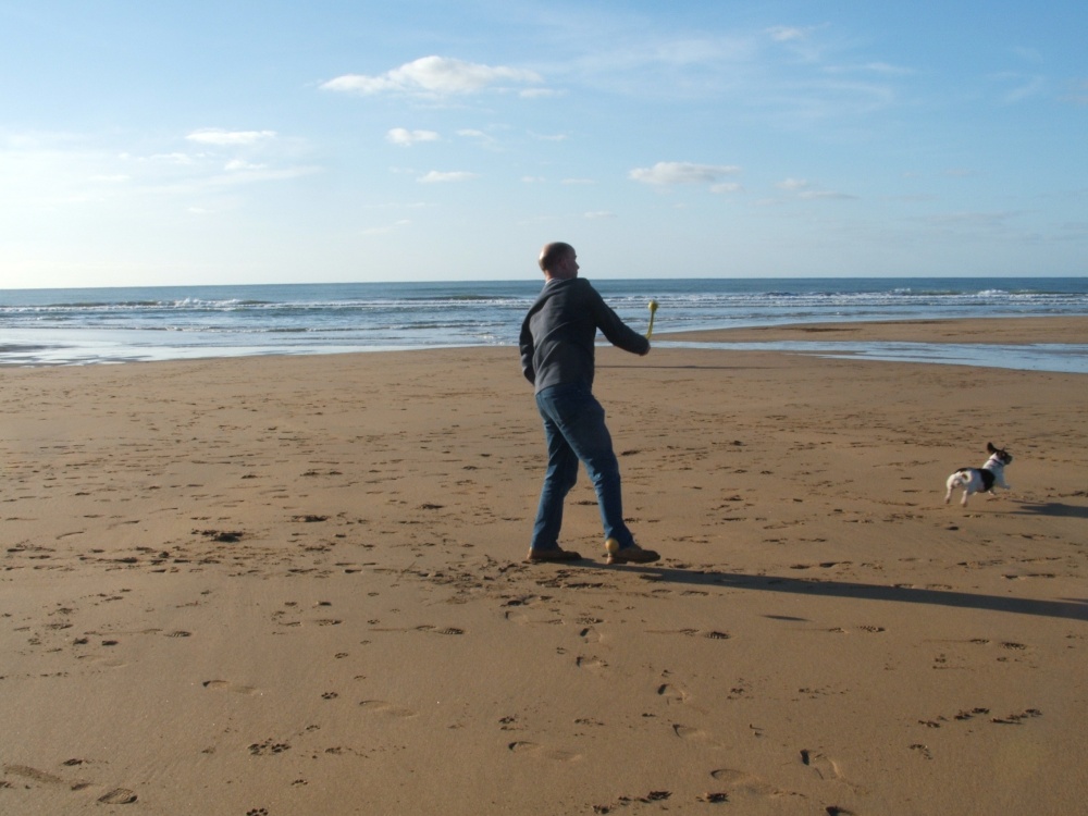 Dog at Play on Crooklets Beach, Bude