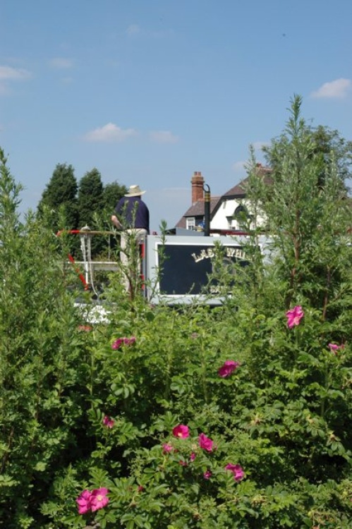 Trent and Mersey Canal. Alrewas, Staffordshire