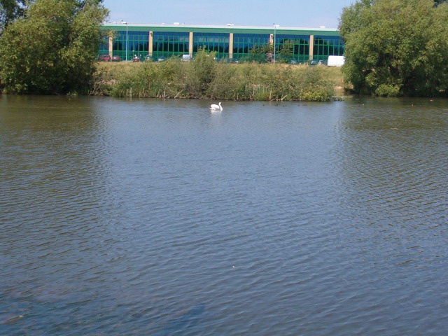 The sash, Grimethorpe