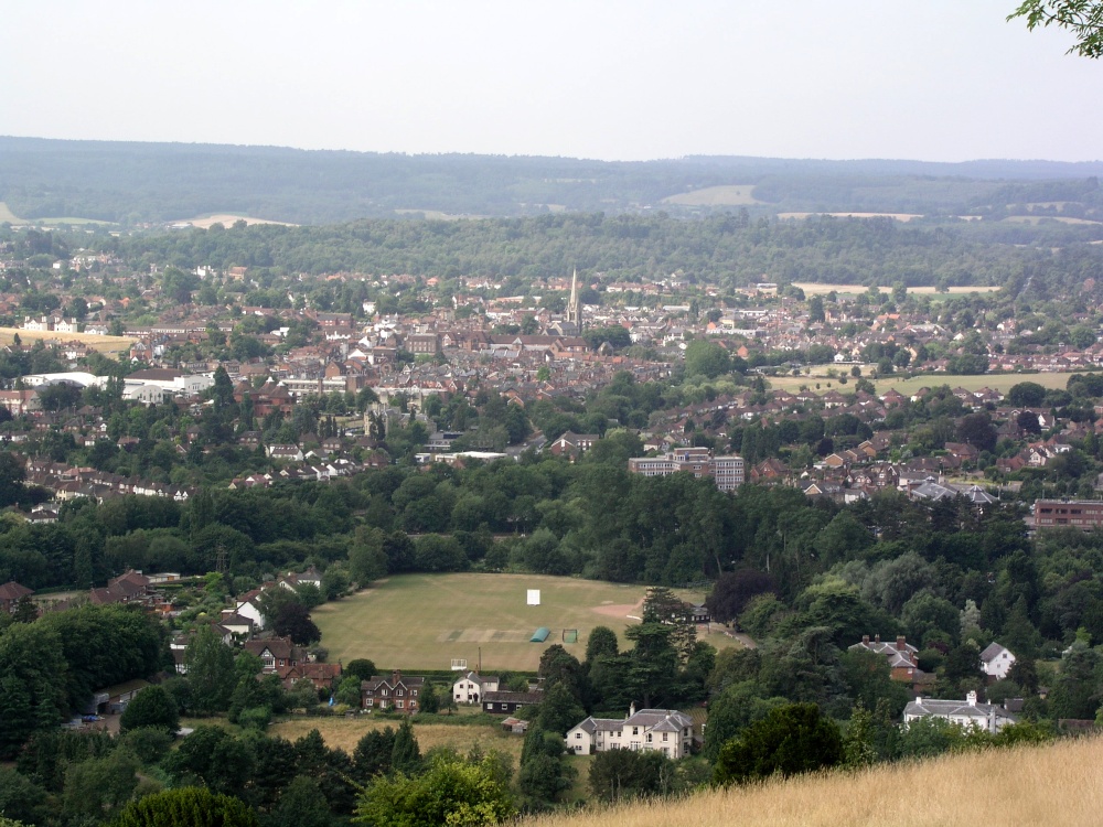 A picture of Box Hill Country Park