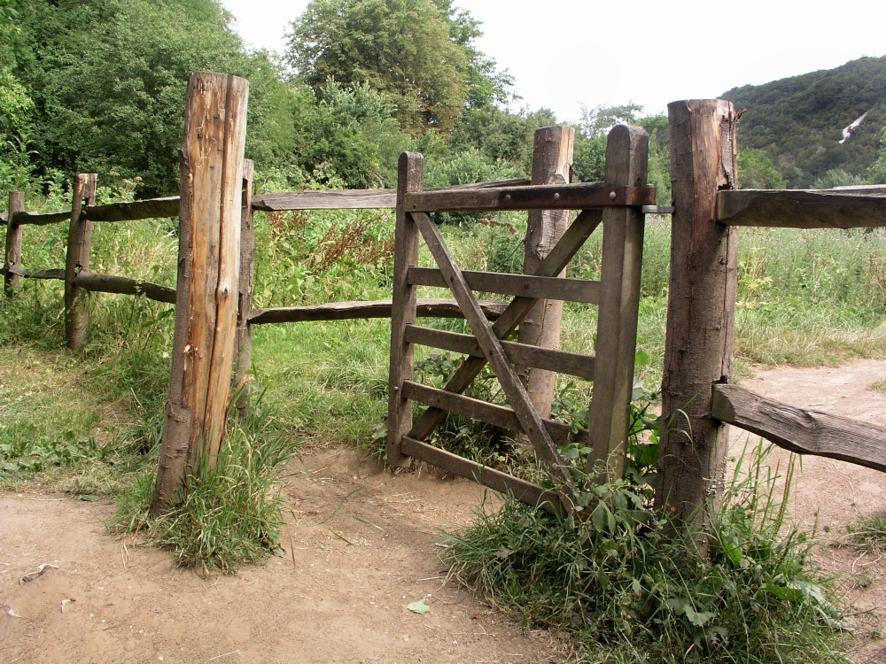 Fence/gate near the River Mole, Dorking, Surrey