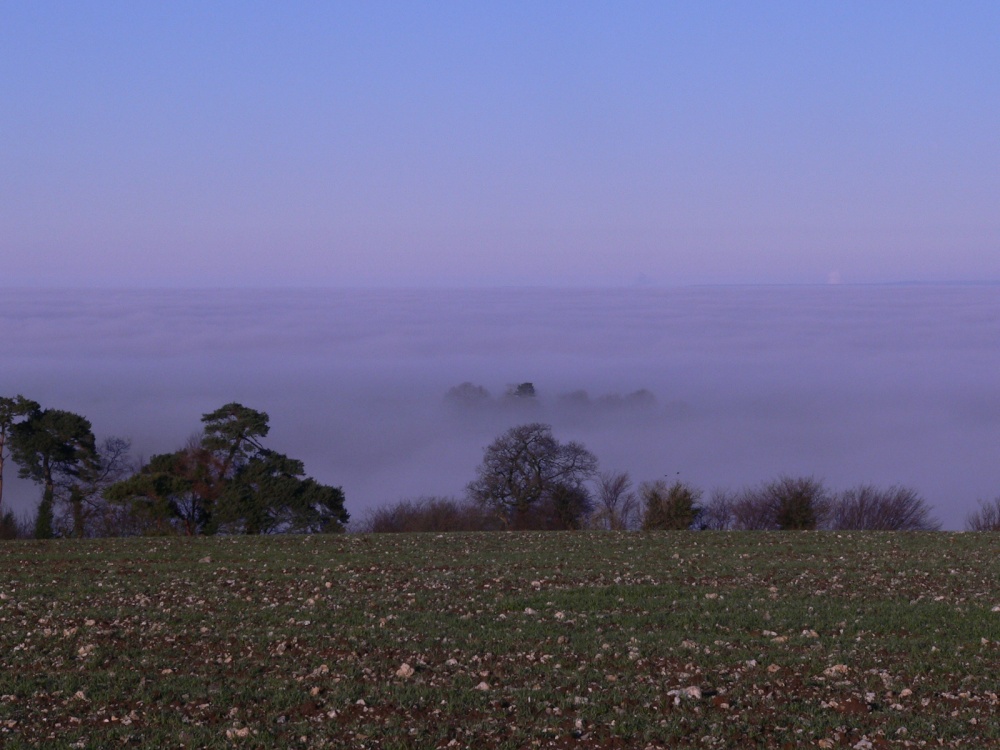 Low lying fog, on Somerset levels
