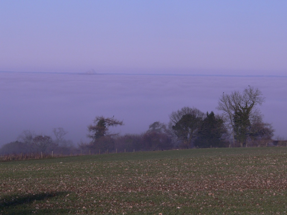Low lying fog, on Somerset levels