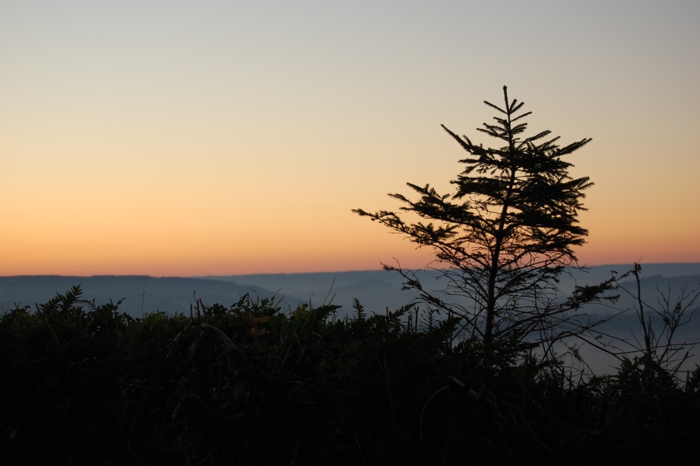 Photograph of Sunset. Christmas 2006 in The Axe Valley, Devon