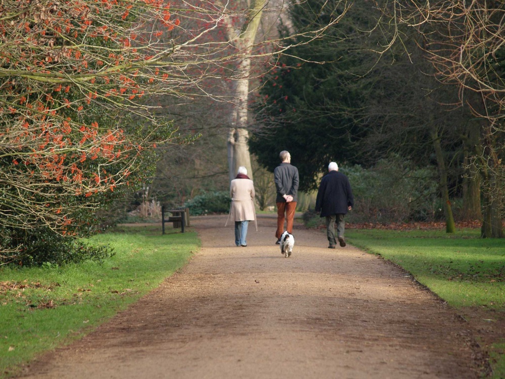 The University Parks, Oxford