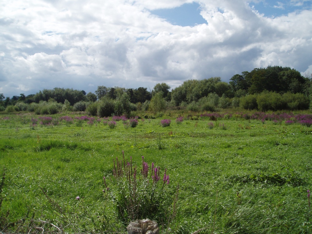 Marlow, Buckinghamshire - August 2006