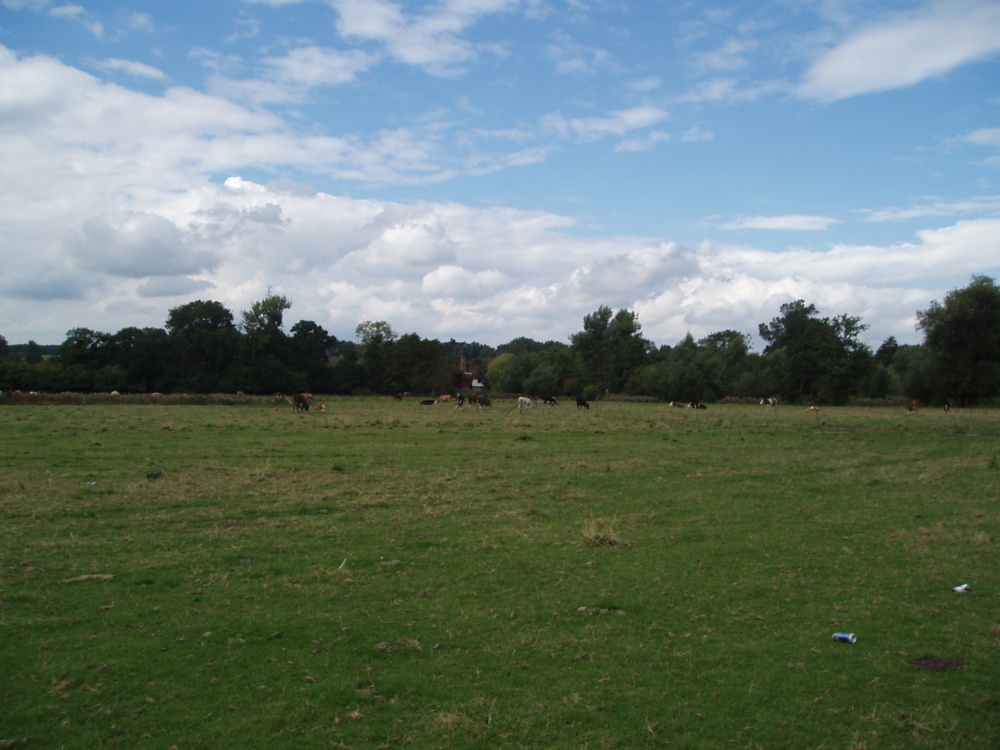 Photograph of Marlow, Buckinghamshire - August 2006