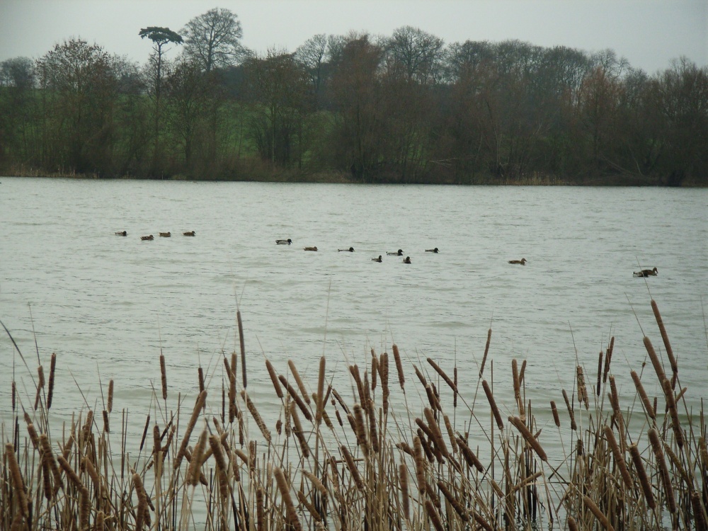 Photograph of Stanford Reservoir, Leicestershire