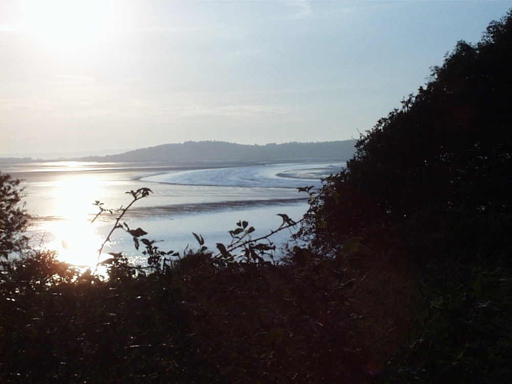 A picture of Silverdale