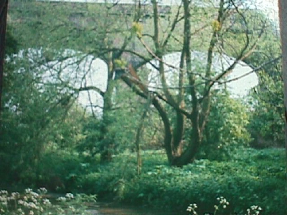 Photograph of Viaduct at Hanwell, Middlesex
