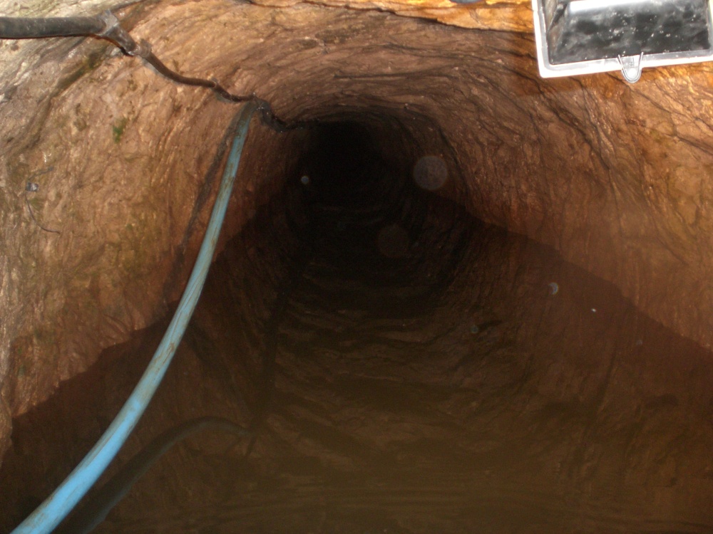 boat trip youll want  to  do  again photo by Roy / Tracey