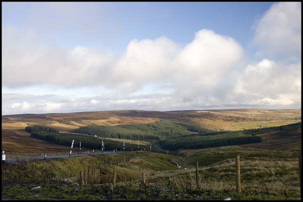 A picture of England