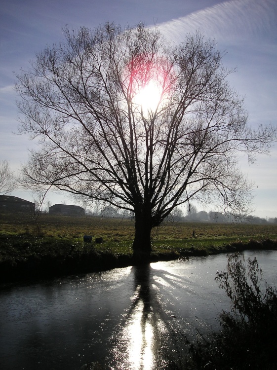 The Wilts & Berks canal at Swindon