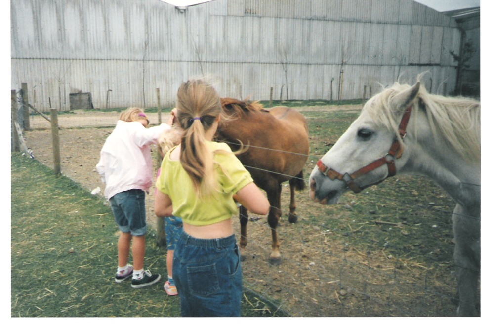 White Post Farm Park, Close to Farnsfield, Notts. 
Feeding the horses in 1990