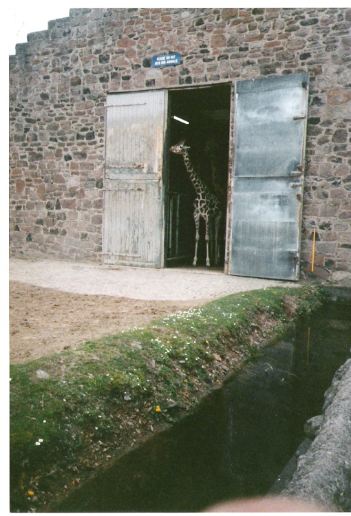Chester Zoo  - 1992