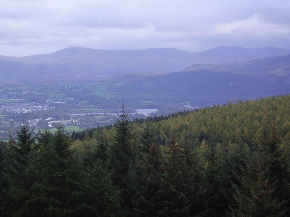 A picture of Whinlatter Forest Park