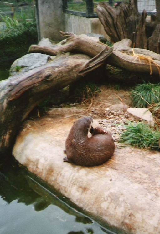 Thrigby Hall Wildlife Gardens, Norfolk.