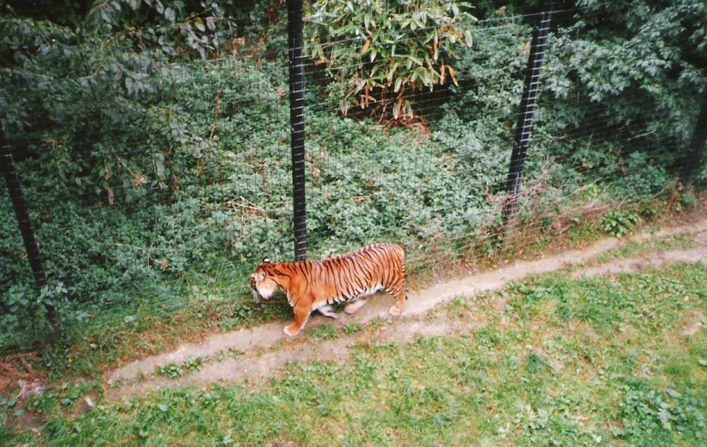 Thrigby Hall Wildlife Gardens, Filby, Norfolk.
