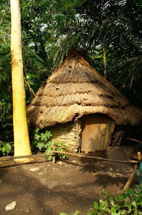 The Eden Project, Bodelva, Cornwall, September 2006.