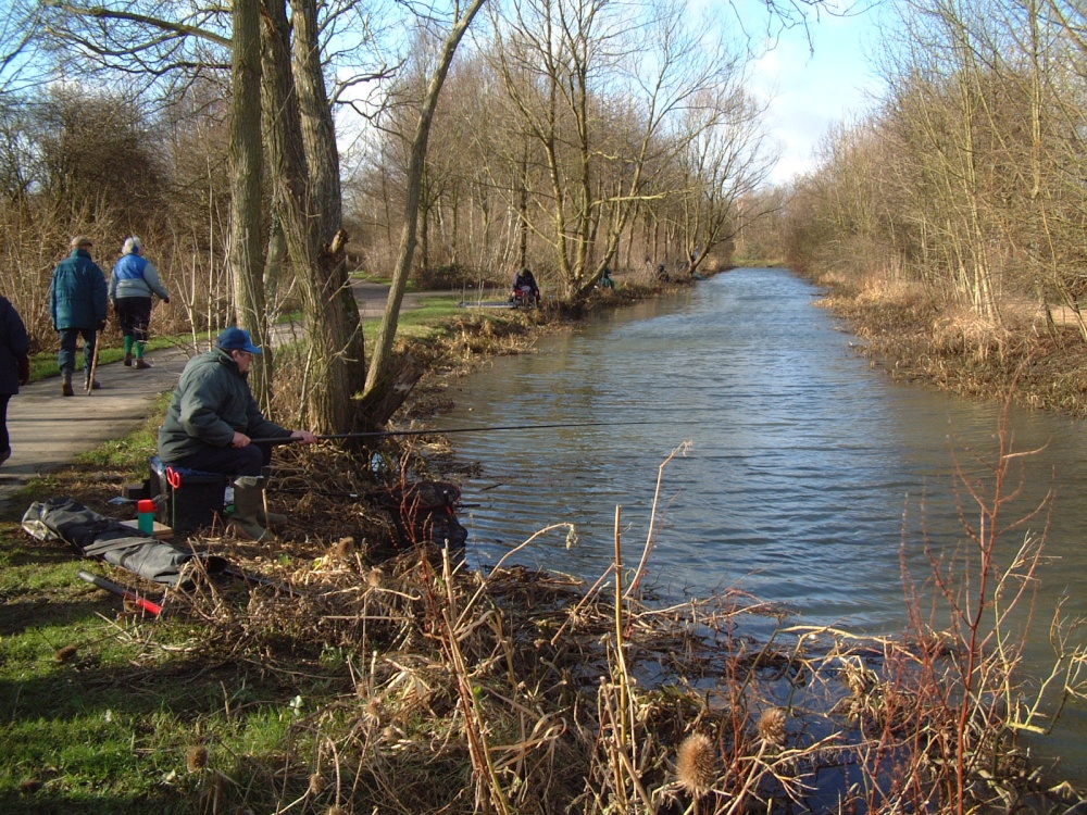 Nene Park (Ferry Meadows Country Park) Peterborough, Cambridgeshire.