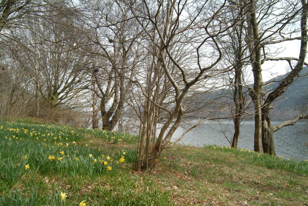 Wordsworth Point, Ullswater, Cumbria, Spring 2005.