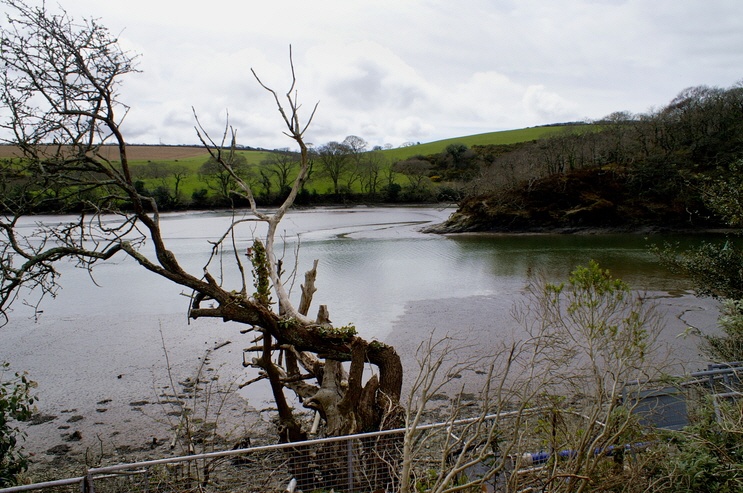 The National Seal Sanctuary, Gweek, Cornwall. April 2006. photo by Peter Evans